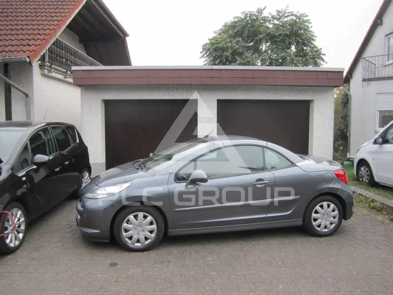 2009 Peugeot 207