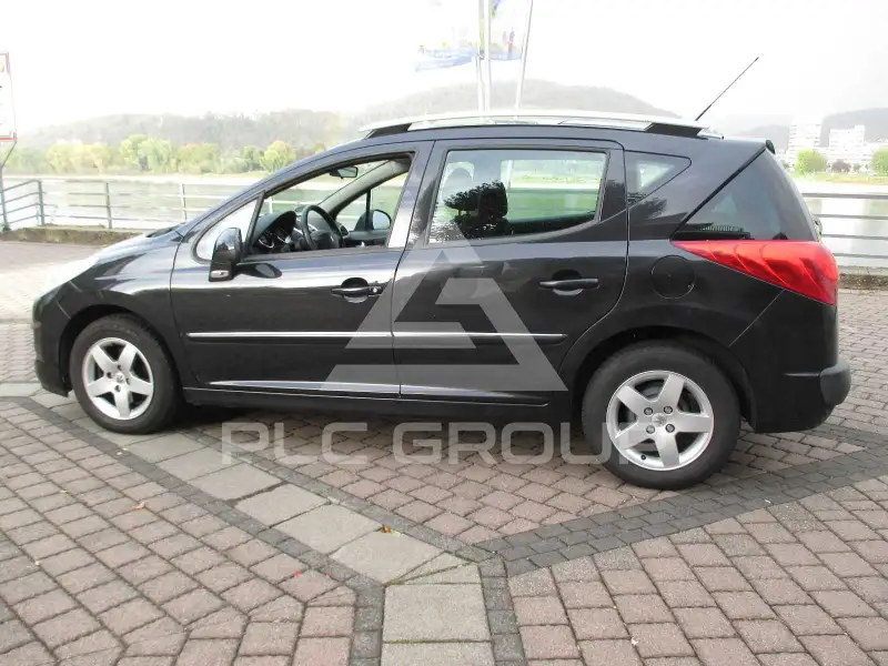 2009 Peugeot 207