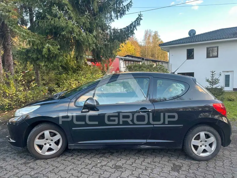 2009 Peugeot 207