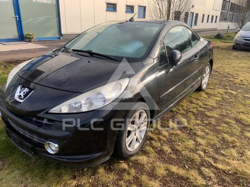 2009 Peugeot 207