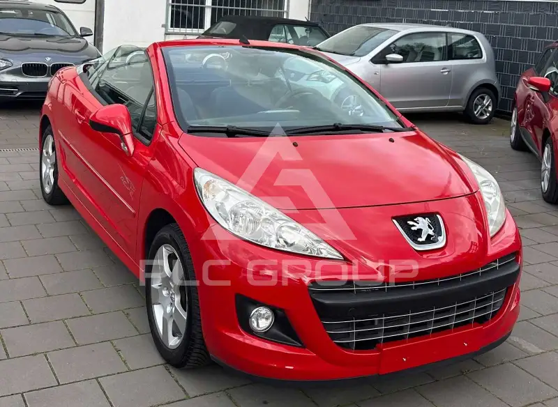 2009 Peugeot 207