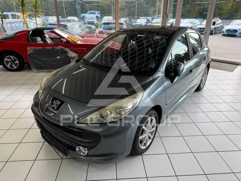 2009 Peugeot 207