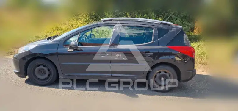 2009 Peugeot 207