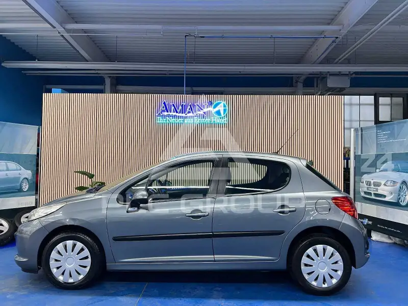 2009 Peugeot 207