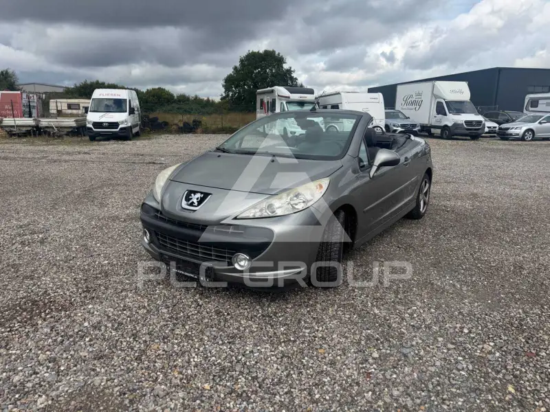 2009 Peugeot 207