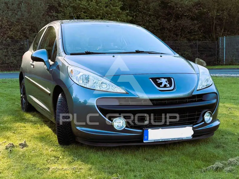 2009 Peugeot 207