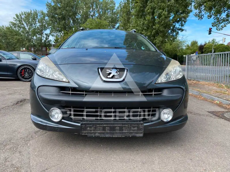 2009 Peugeot 207