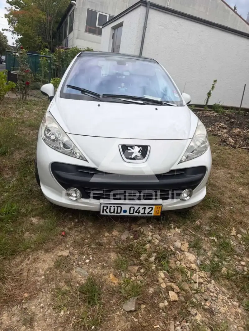 2009 Peugeot 207