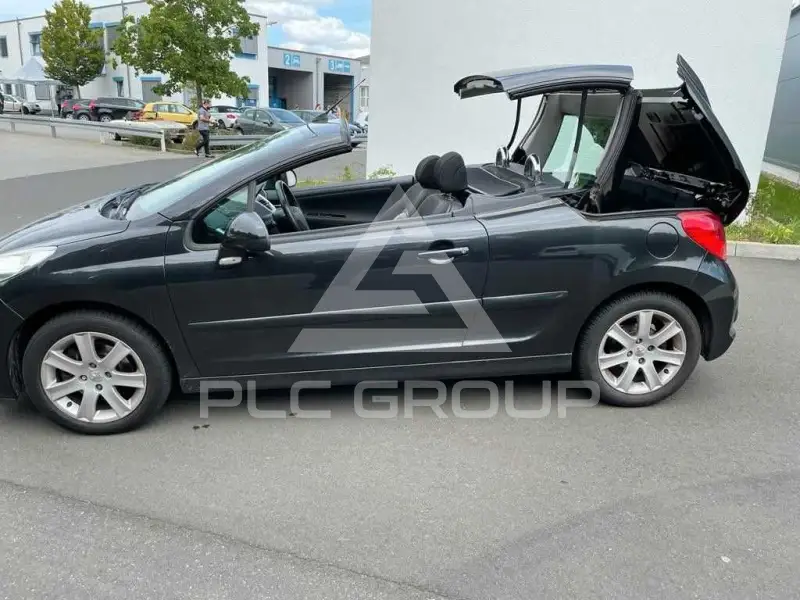 2009 Peugeot 207