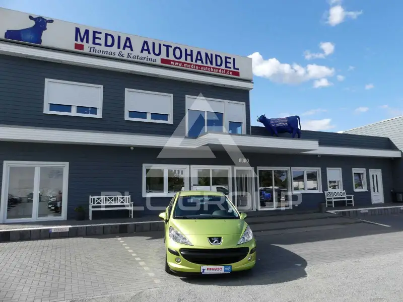 2009 Peugeot 207