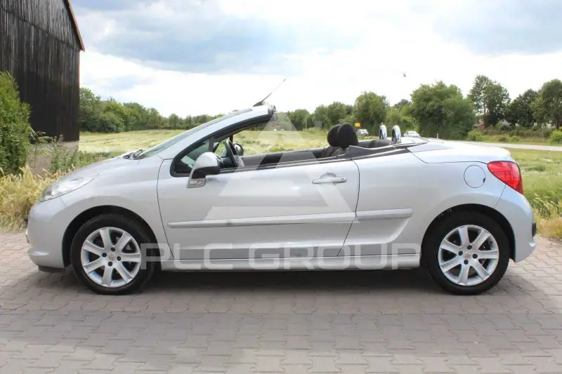 2009 Peugeot 207