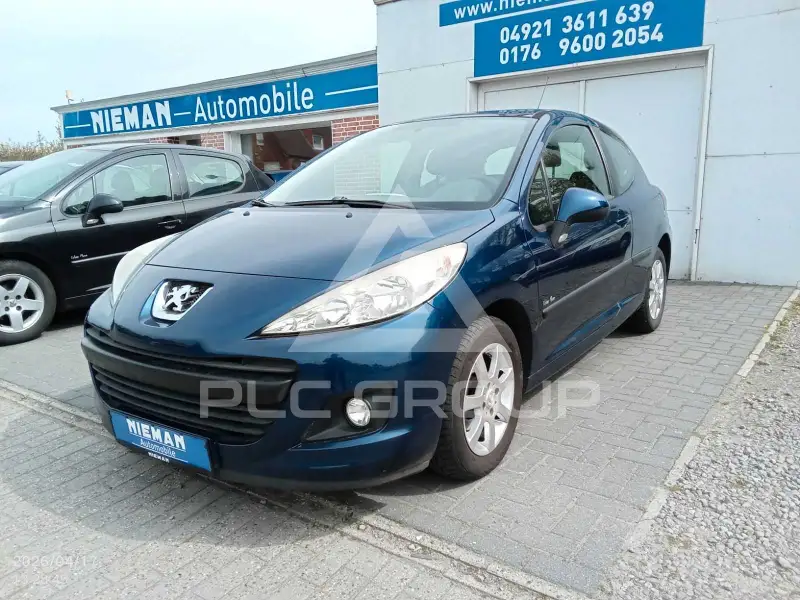 2009 Peugeot 207