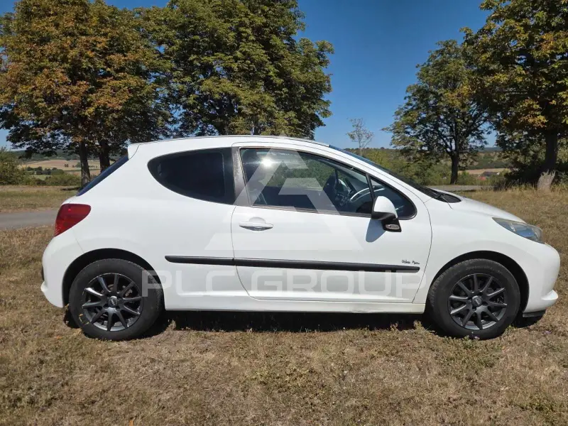 2009 Peugeot 207