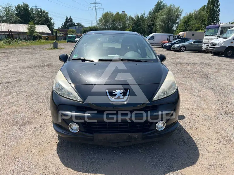 2009 Peugeot 207