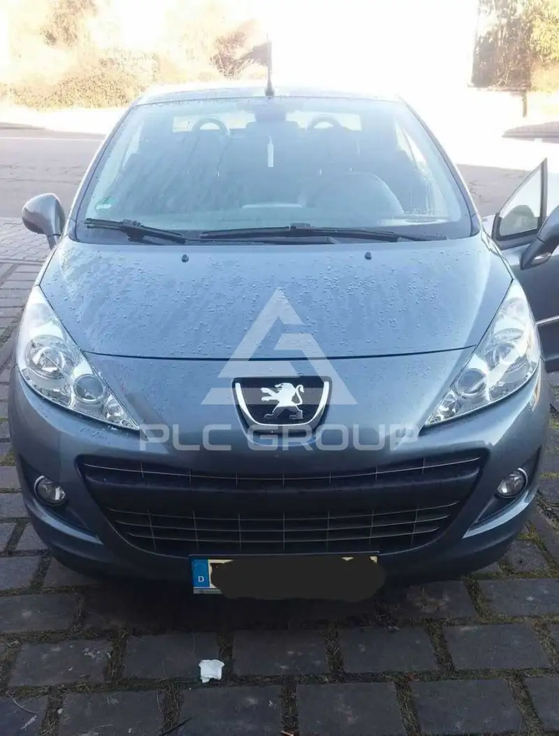 2010 Peugeot 207