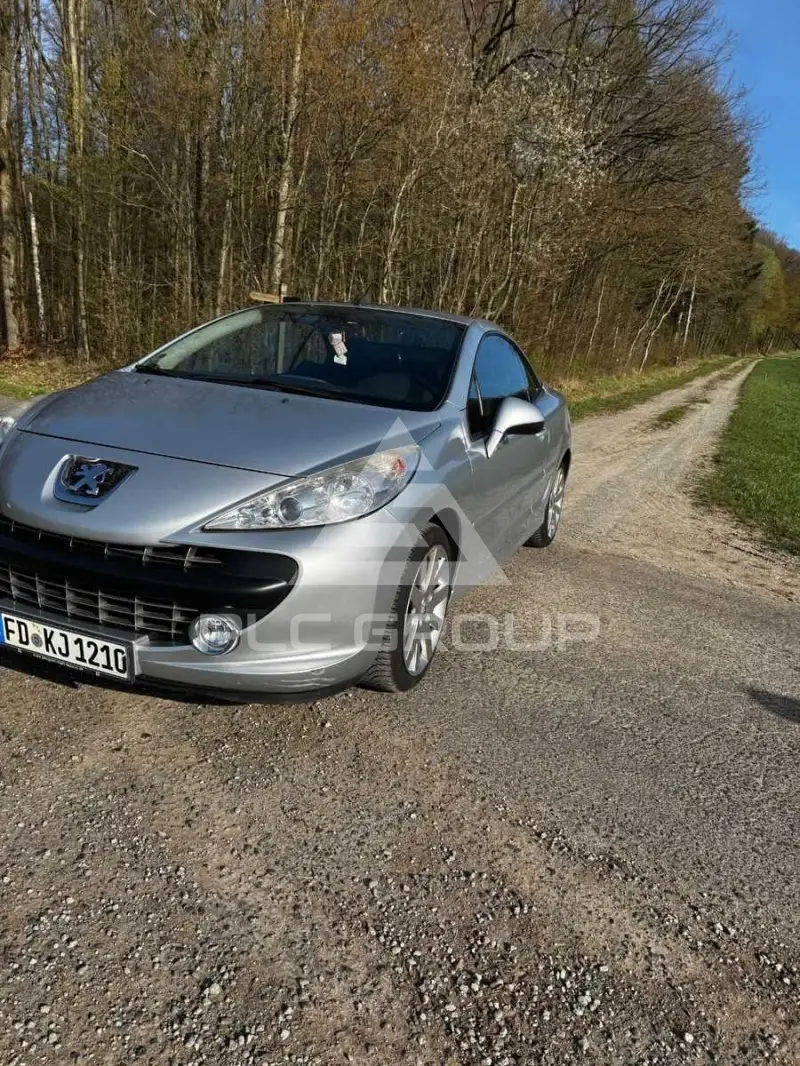 2009 Peugeot 207