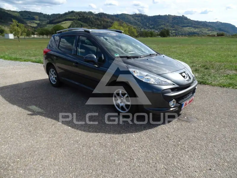 2009 Peugeot 207