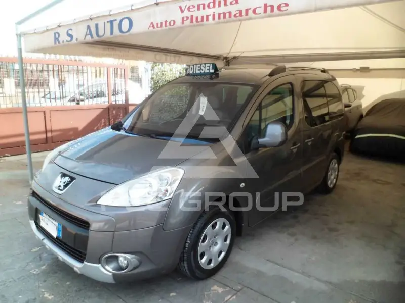 2009 Peugeot Partner