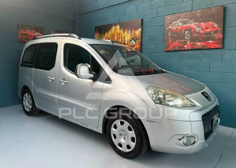 2009 Peugeot Partner