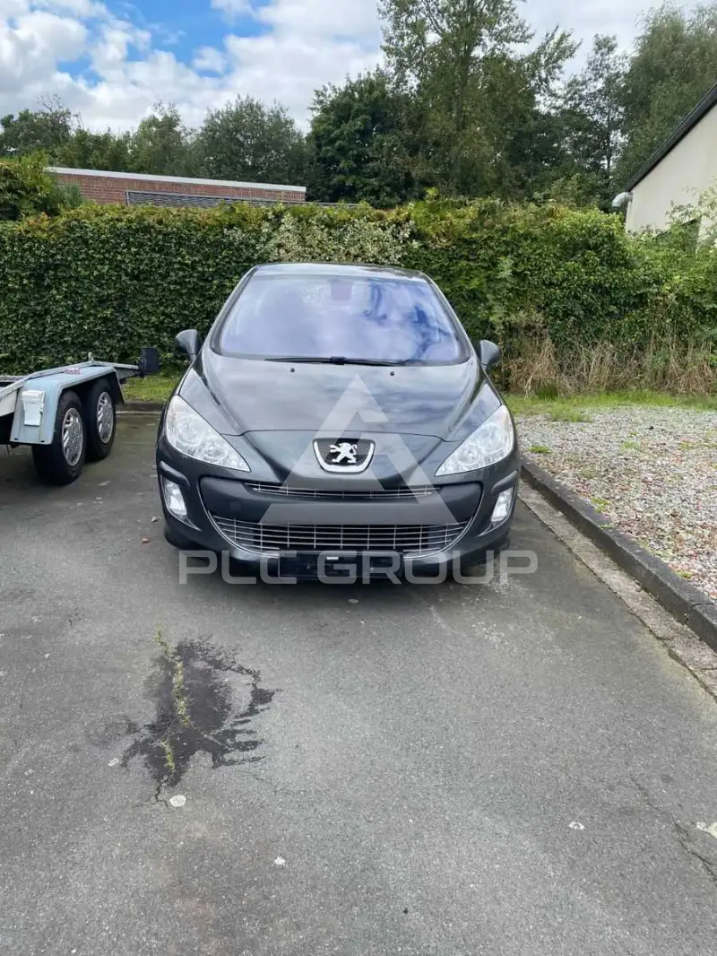 2009 Peugeot 308