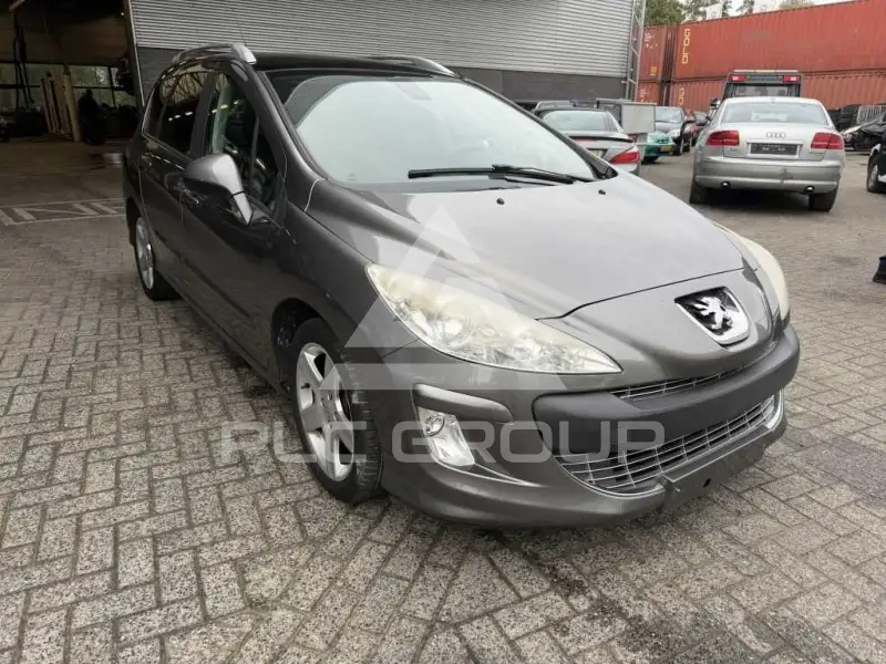 2009 Peugeot 308