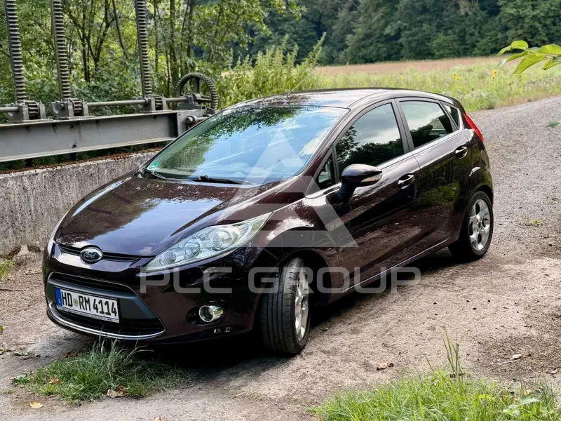 2009 Ford FIESTA