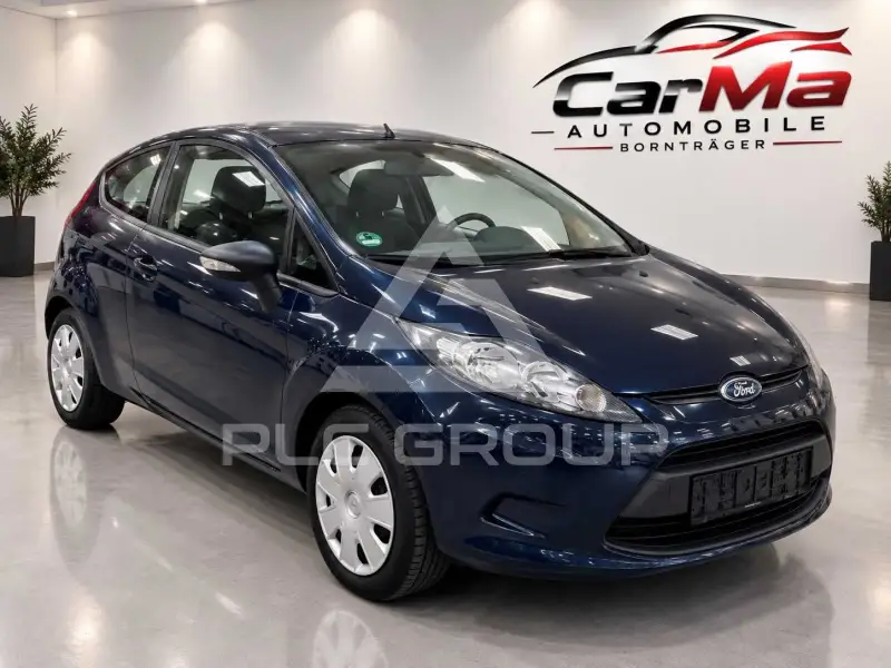 2009 Ford FIESTA