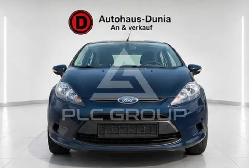 2009 Ford FIESTA