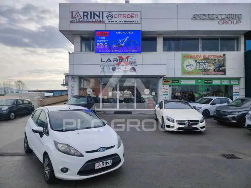2009 Ford FIESTA
