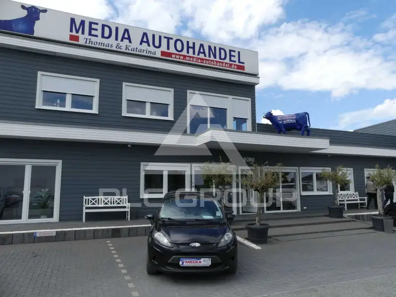 2009 Ford FIESTA