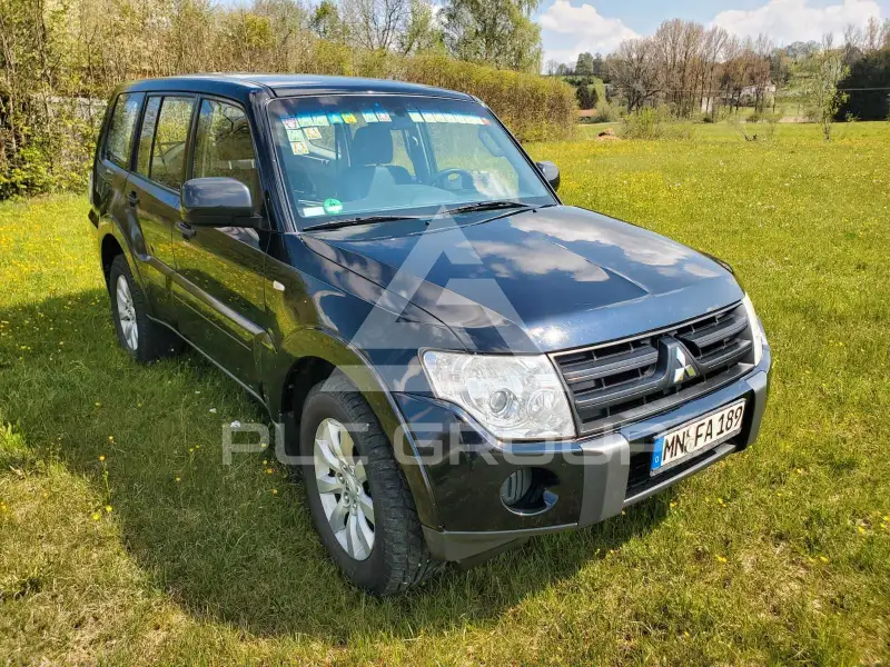 2010 Mitsubishi PAJARO
