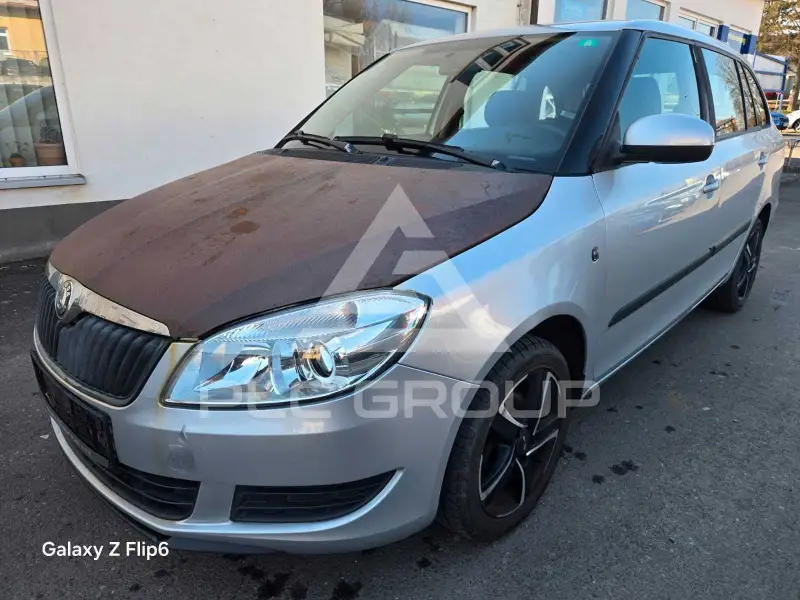 2010 Skoda Fabia