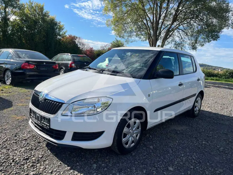 2010 Skoda Fabia