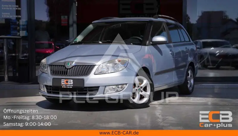 2010 Skoda Fabia
