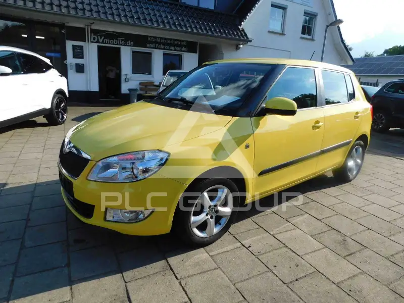2010 Skoda Fabia
