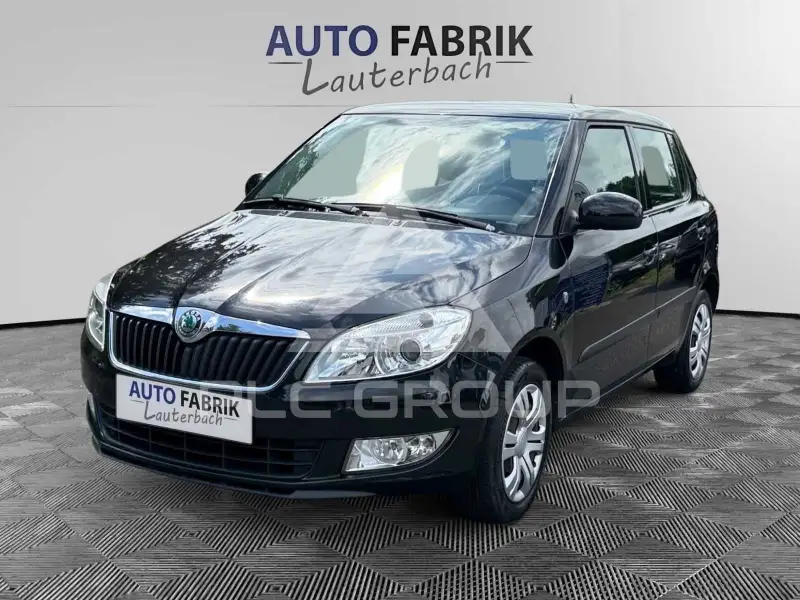 2010 Skoda Fabia