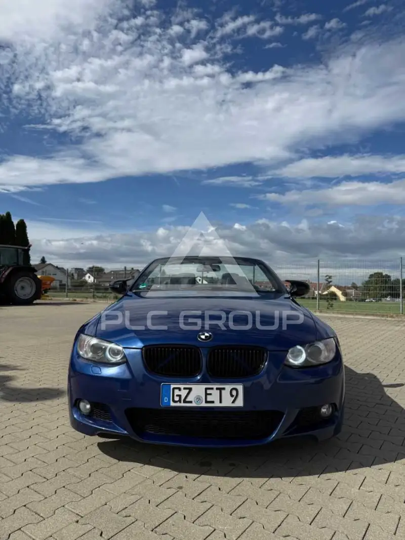 2010 BMW 325