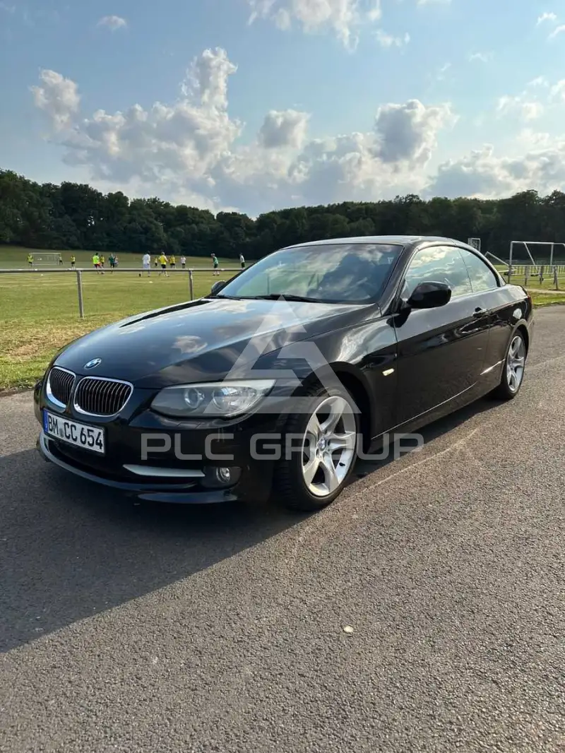 2010 BMW 325
