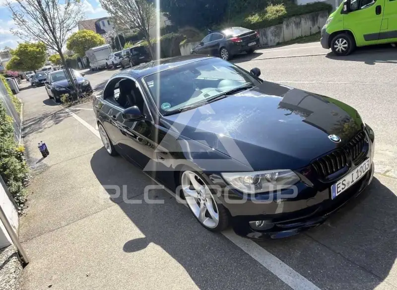 2010 BMW 325