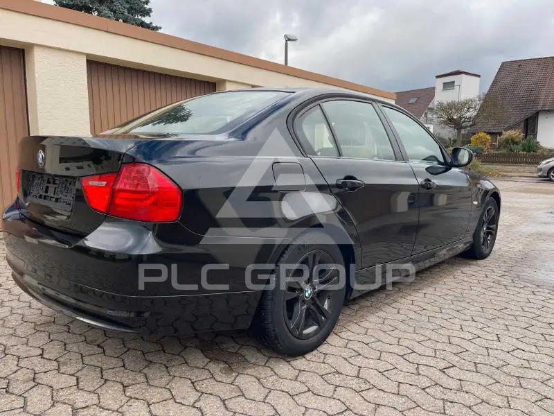 2010 BMW 316