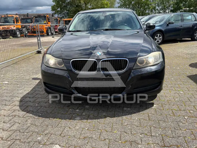 2010 BMW 316