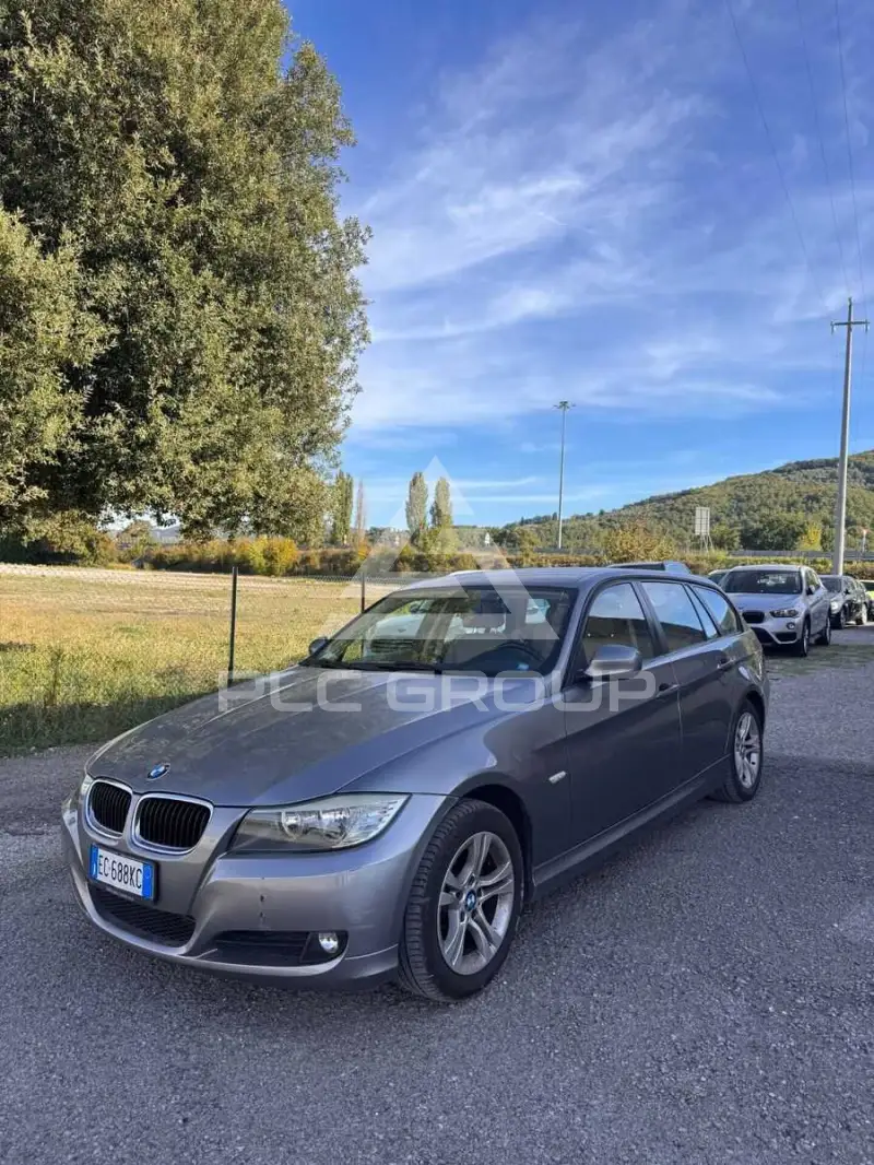 2010 BMW 316