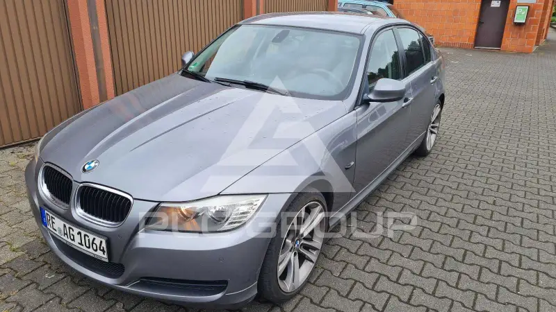2010 BMW 316