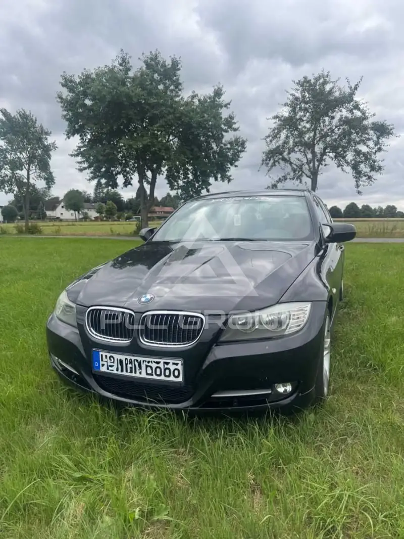 2010 BMW 316