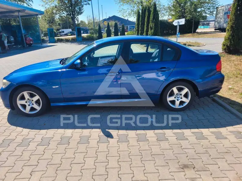2010 BMW 316