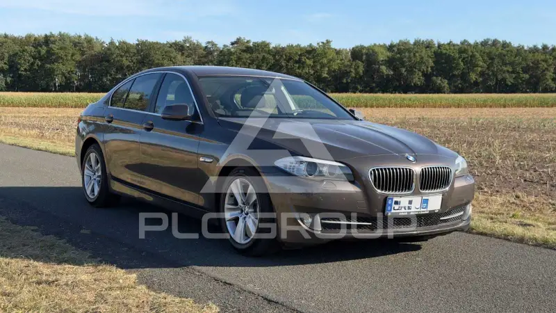 2010 BMW 523