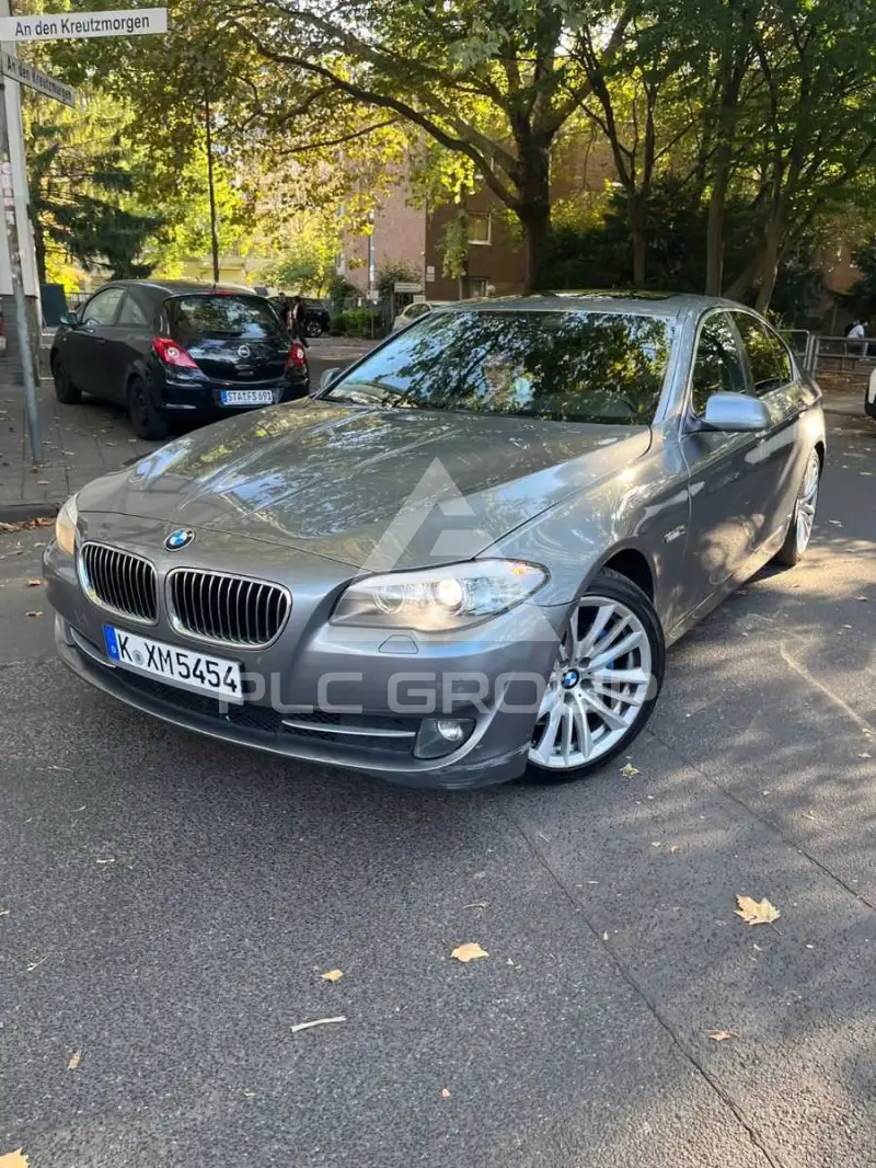 2010 BMW 523