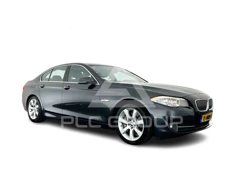 2010 BMW 530