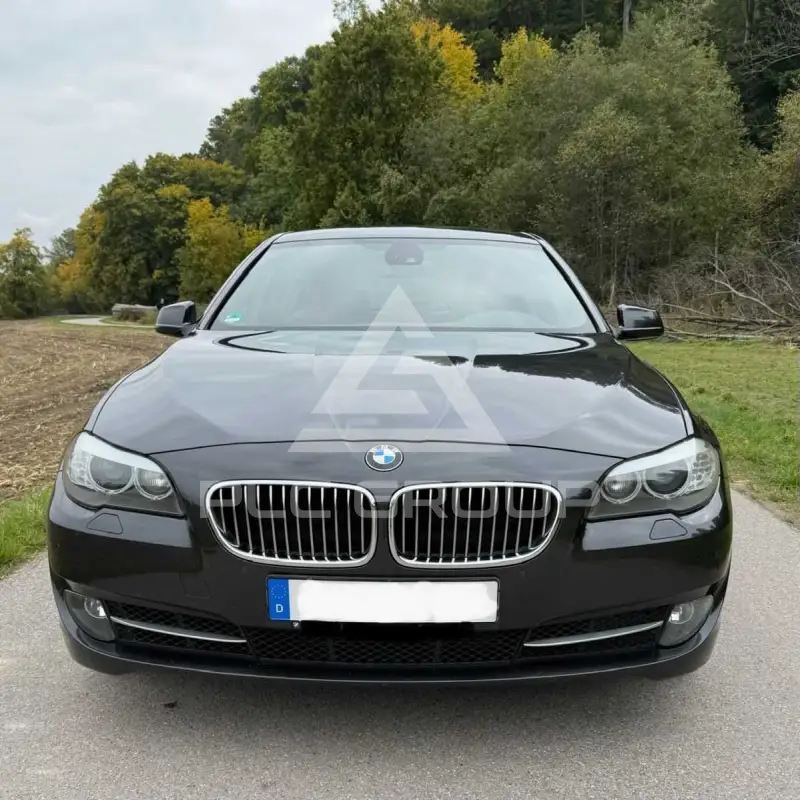 2010 BMW 525