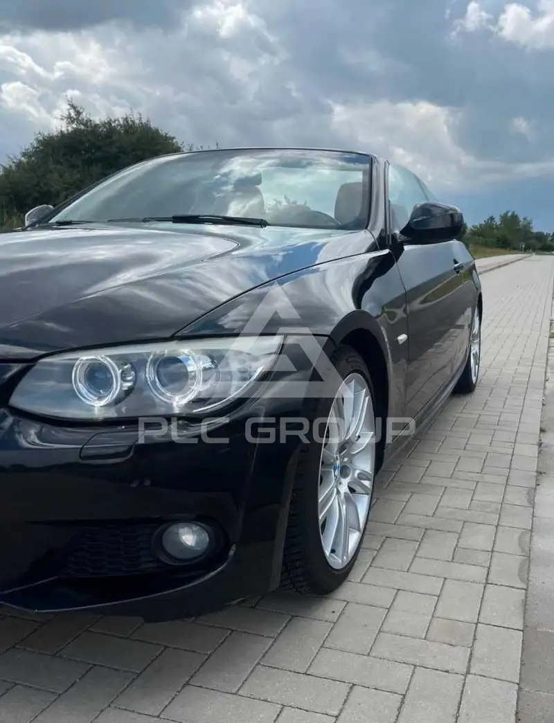 2010 BMW 320